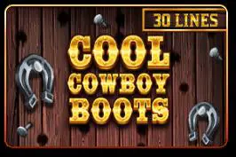 Cool Cowboy Boots