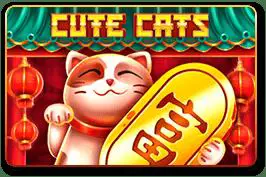 Cute Cats