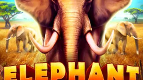 Elephant Stampede