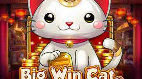 Big Win Cat