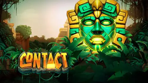Contact