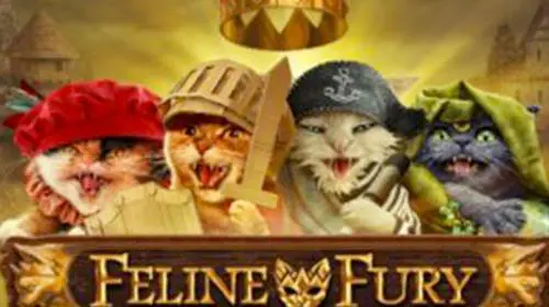 Feline Fury
